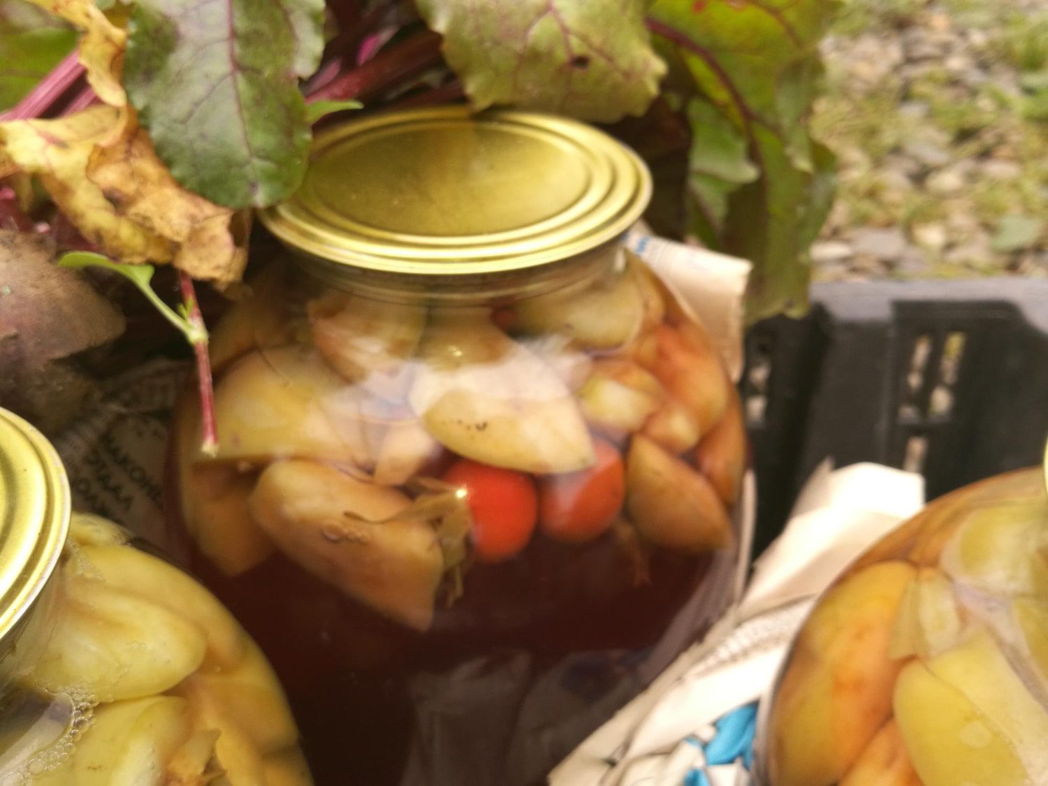 A Beginner’s Guide to Fermenting Vegetables at Home