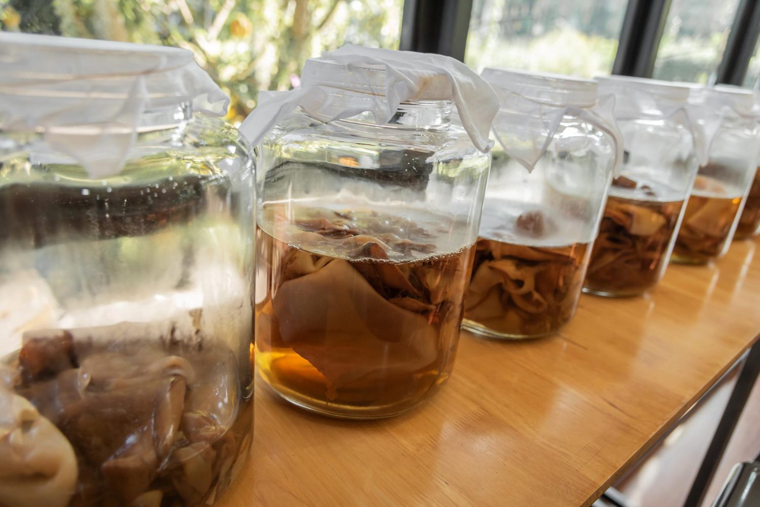 Kombucha 1st & 2nd Fermentation: A Complete Guide