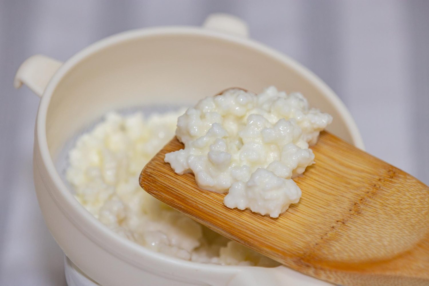 Milk Kefir vs. Water Kefir: Which Fermented Drink is Right for You?