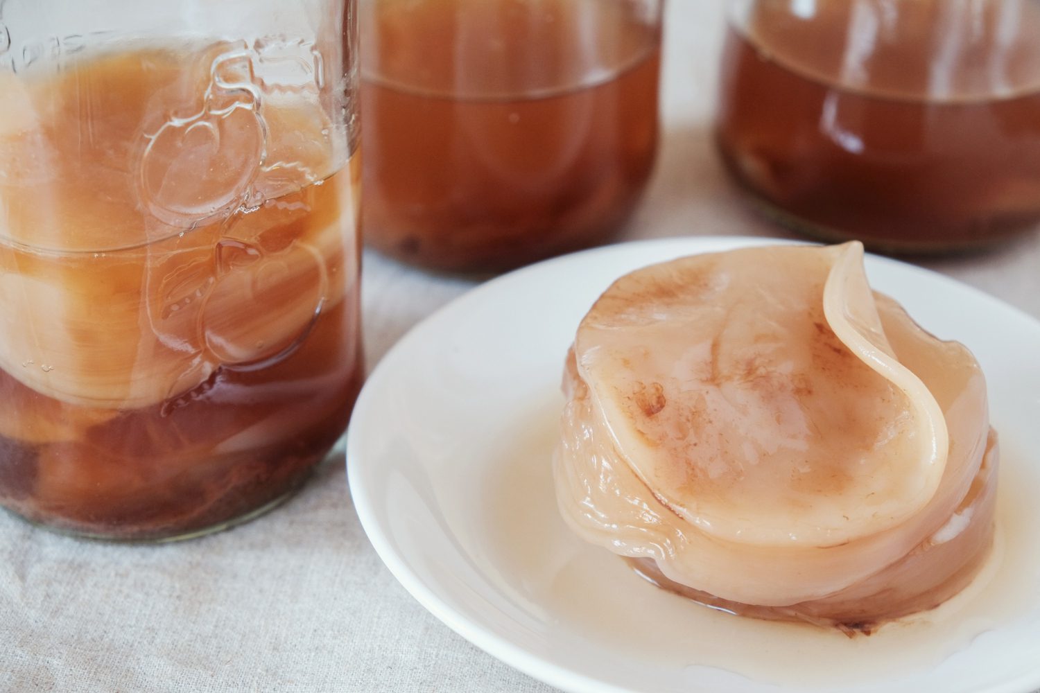 Demystifying the SCOBY: Your Guide to Kombucha Brewing