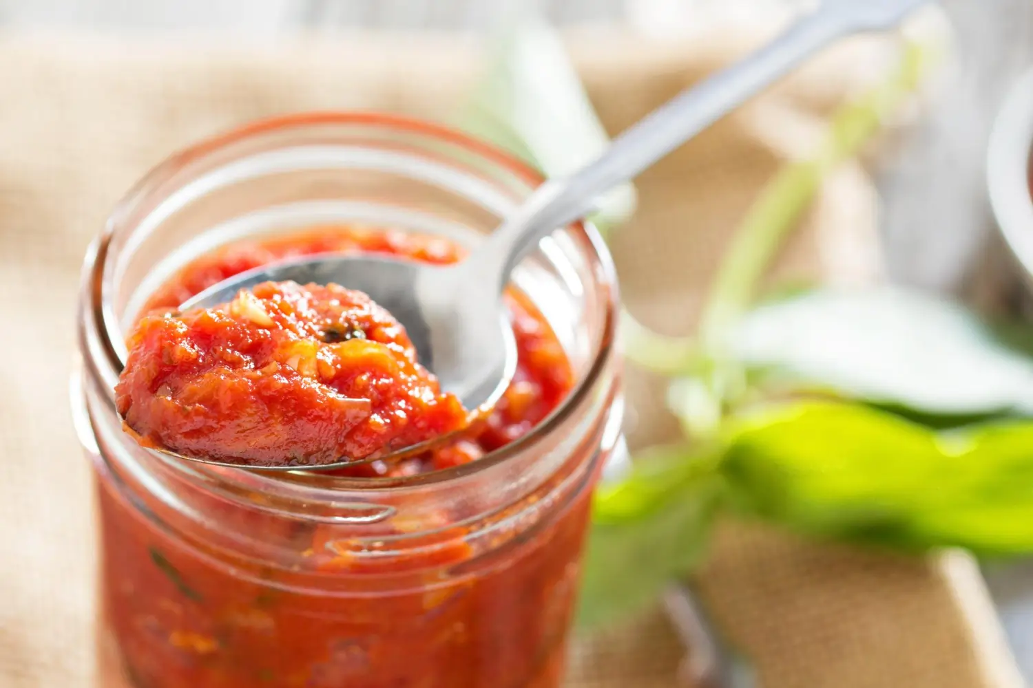 Spice Up Your Gut: A Beginner’s Guide to Fermented Salsa
