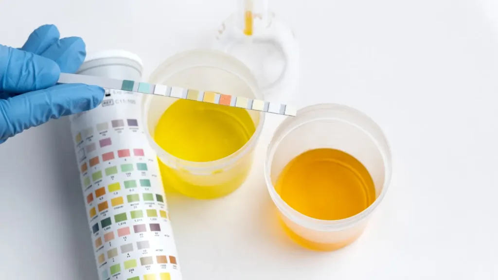 pH test strips showing acidic reading for safe fermented vegetables